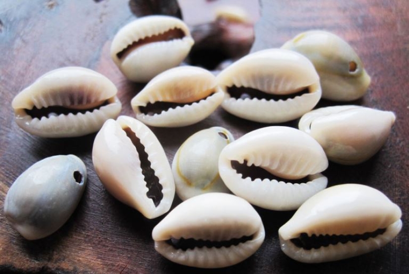 Salt, feathers, shells: the most unusual money in the history of mankind Salt, feathers, shells: the most unusual money in the history of mankind