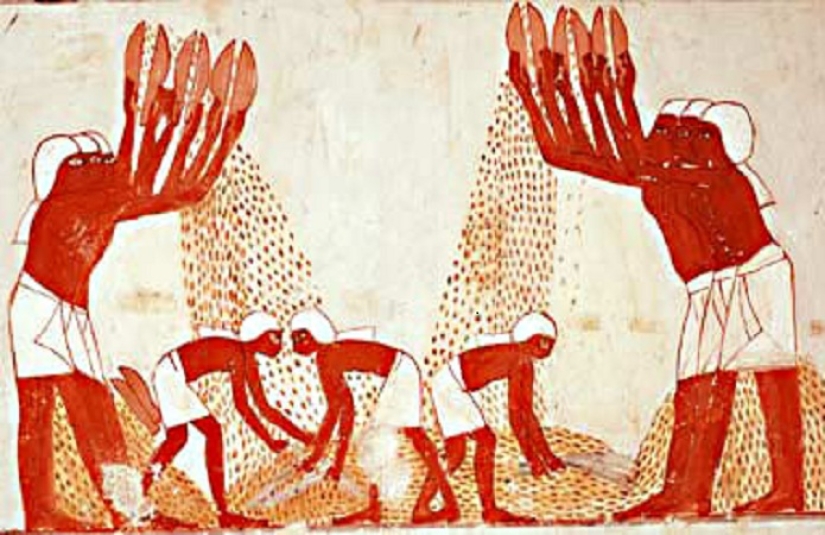 Salt, feathers, shells: the most unusual money in the history of mankind Salt, feathers, shells: the most unusual money in the history of mankind