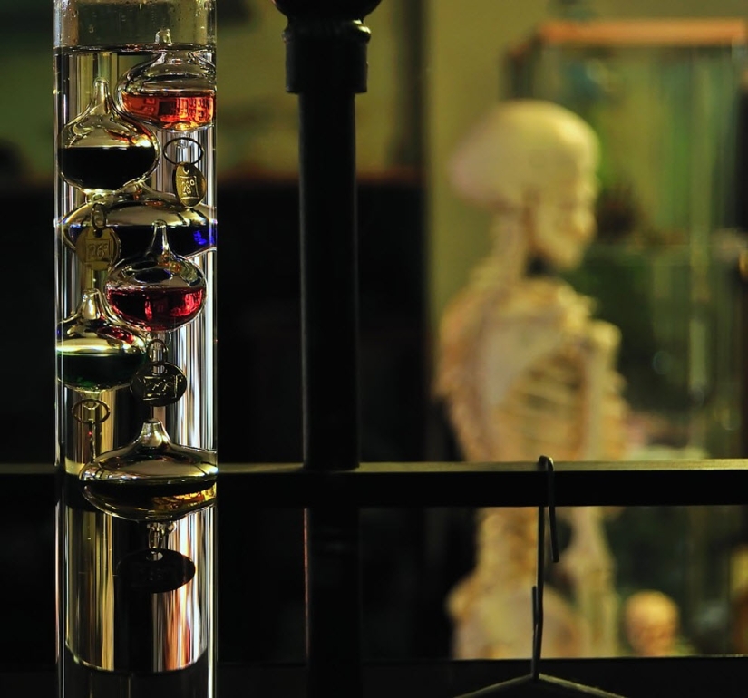Scientific Beauty: Galileo's Thermometer Scientific Beauty: Galileo's Thermometer
