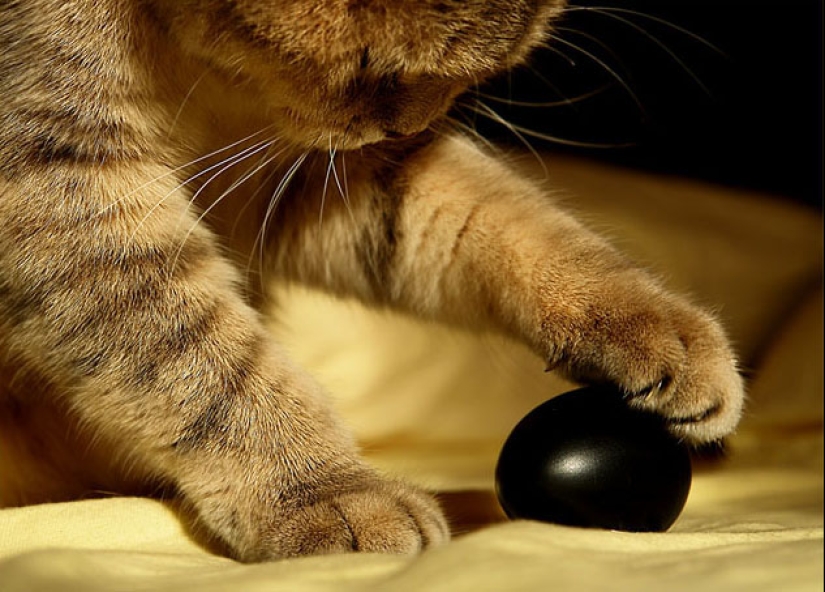 "Sex is overrated, hangover is flour": 10 signs of an old man