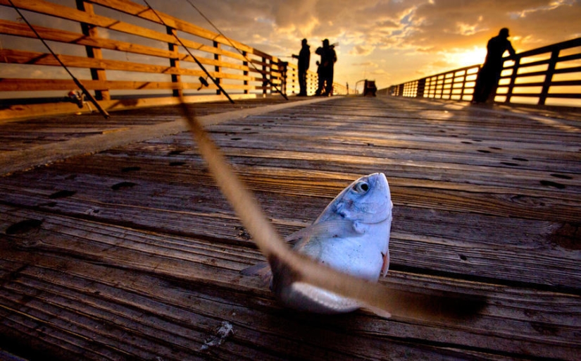 Shadow and light Shadow and light