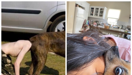 Simplemente parecía: 22 fotos que tendrá que mirar varias veces Simplemente parecía: 22 fotos que tendrá que mirar varias veces