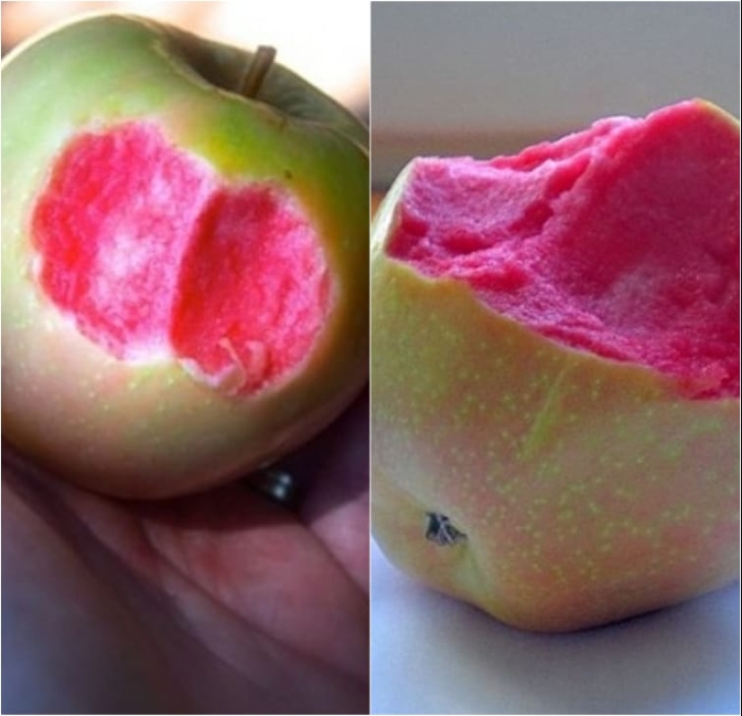 Sin Photoshop: 22 fotos absolutamente reales, a pesar de que es tan difícil de creer Sin Photoshop: 22 fotos absolutamente reales, a pesar de que es tan difícil de creer