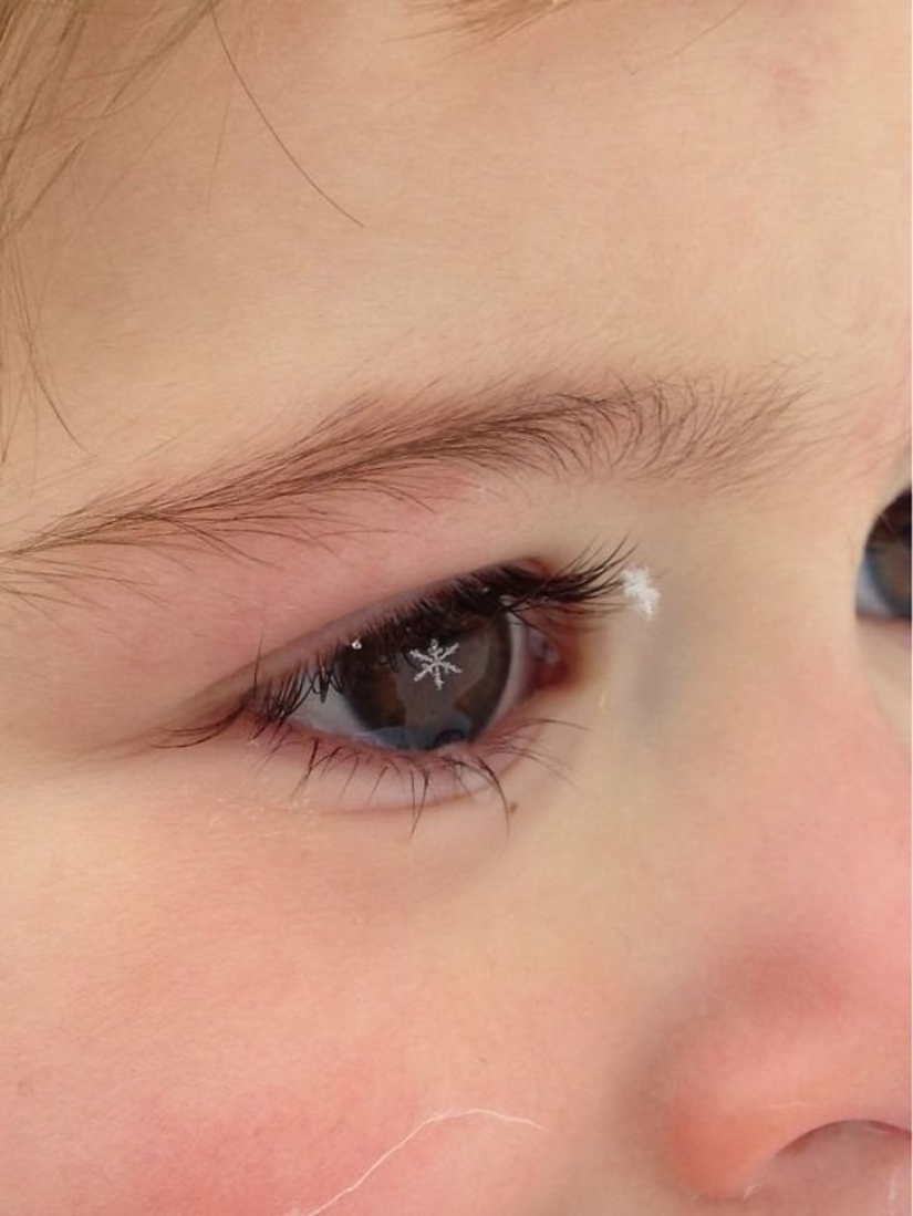 Sin Photoshop: 22 fotos absolutamente reales, a pesar de que es tan difícil de creer Sin Photoshop: 22 fotos absolutamente reales, a pesar de que es tan difícil de creer