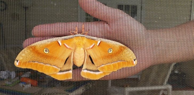 Size matters: 22 proofs of the law of relativity that Einstein never dreamed of Size matters: 22 proofs of the law of relativity that Einstein never dreamed of