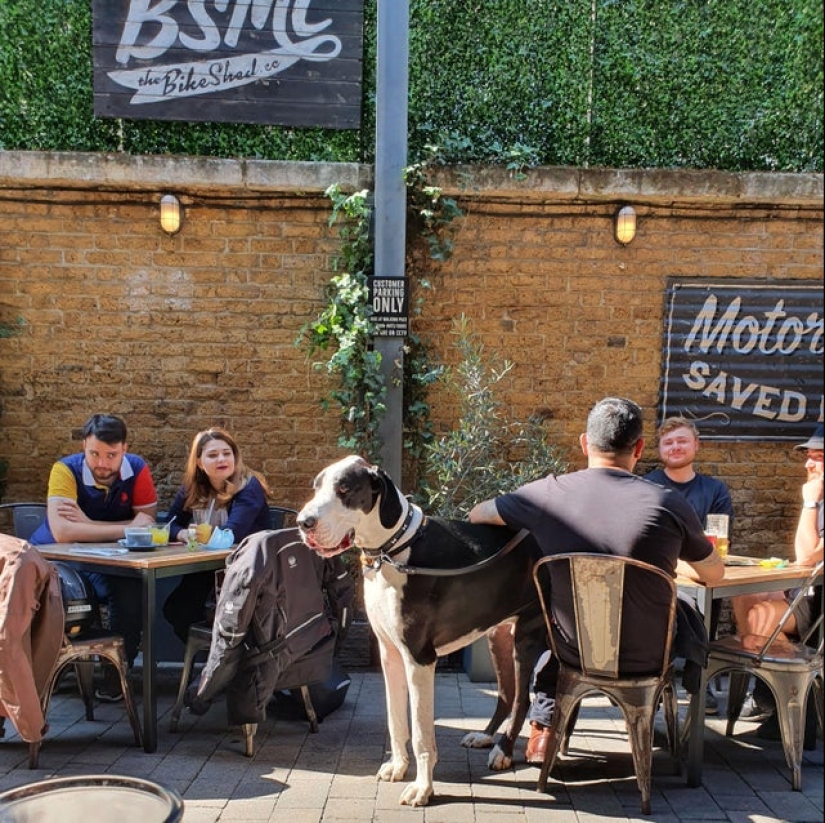 Size matters: 22 proofs of the law of relativity that Einstein never dreamed of Size matters: 22 proofs of the law of relativity that Einstein never dreamed of