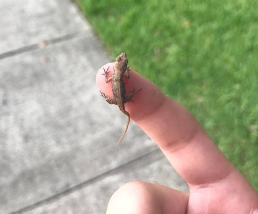 Size matters: 22 proofs of the law of relativity that Einstein never dreamed of Size matters: 22 proofs of the law of relativity that Einstein never dreamed of