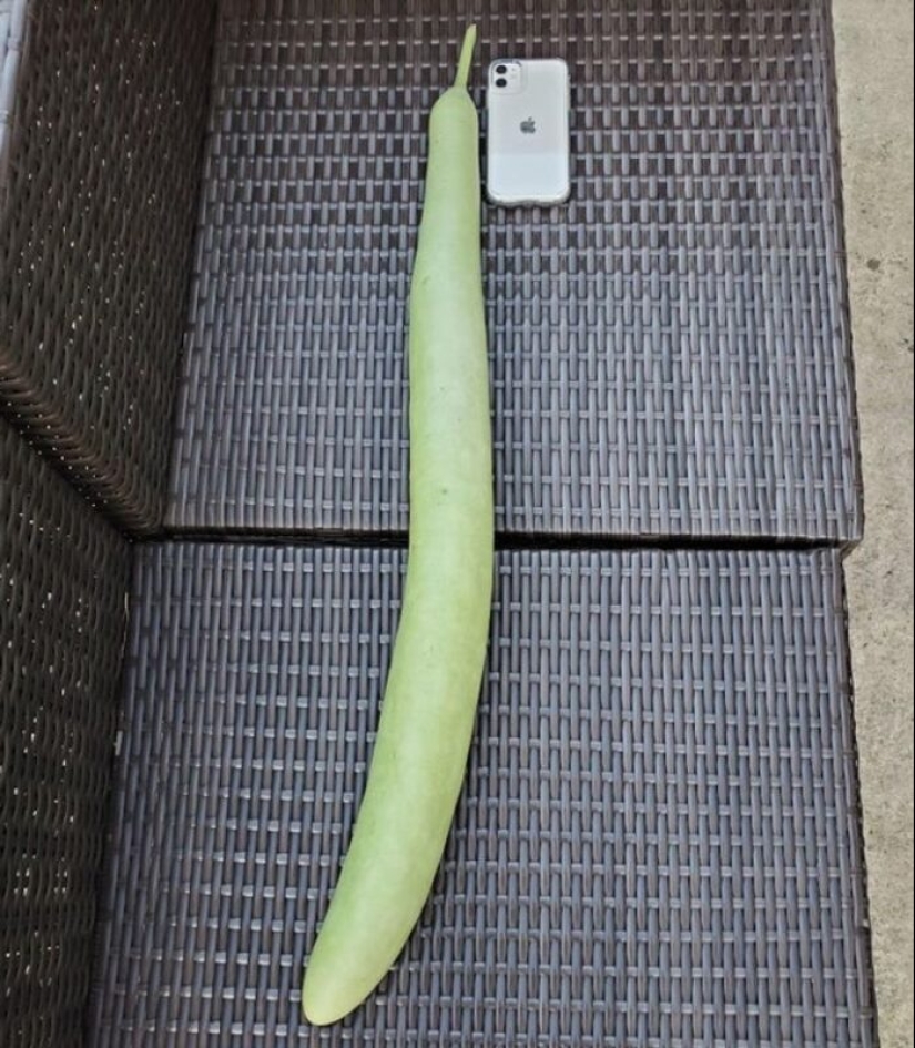 Size matters: 22 proofs of the law of relativity that Einstein never dreamed of Size matters: 22 proofs of the law of relativity that Einstein never dreamed of