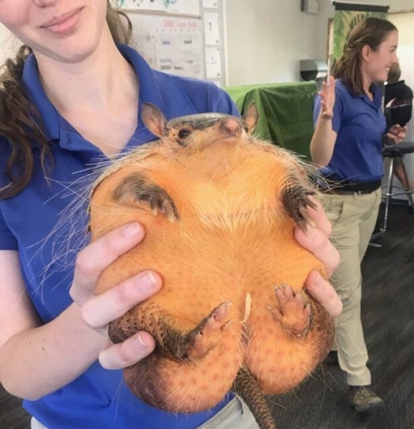 Size matters: 22 proofs of the law of relativity that Einstein never dreamed of Size matters: 22 proofs of the law of relativity that Einstein never dreamed of