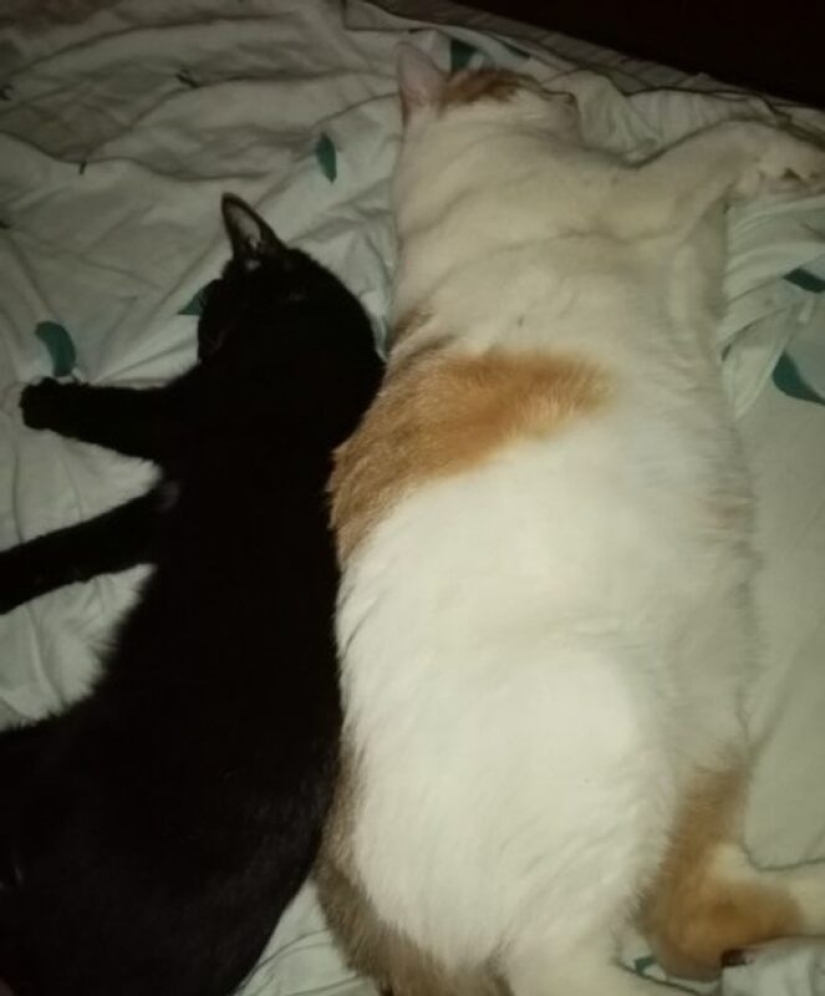 Size matters: 22 proofs of the law of relativity that Einstein never dreamed of Size matters: 22 proofs of the law of relativity that Einstein never dreamed of