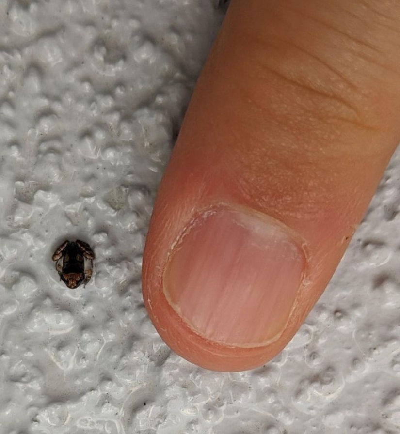 Size matters: 22 proofs of the law of relativity that Einstein never dreamed of Size matters: 22 proofs of the law of relativity that Einstein never dreamed of