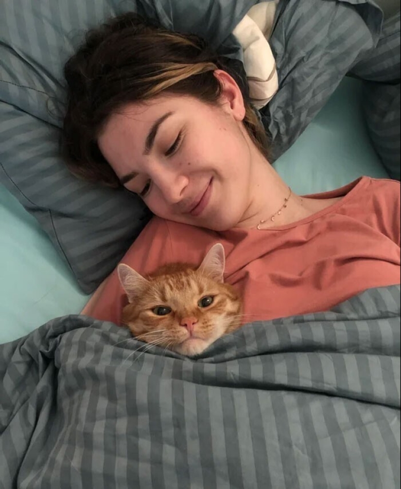 Sleep is a sacred thing: 35 photos of kittens, after which you will want to take a nap Sleep is a sacred thing: 35 photos of kittens, after which you will want to take a nap