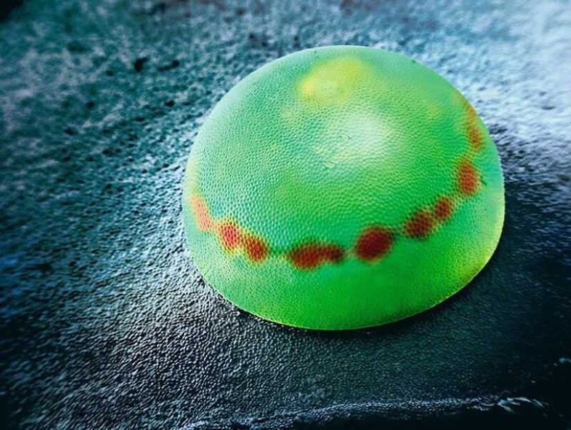 Sólo el más inteligente y ágil va a entender lo que está representado en estas fotos Sólo el más inteligente y ágil va a entender lo que está representado en estas fotos