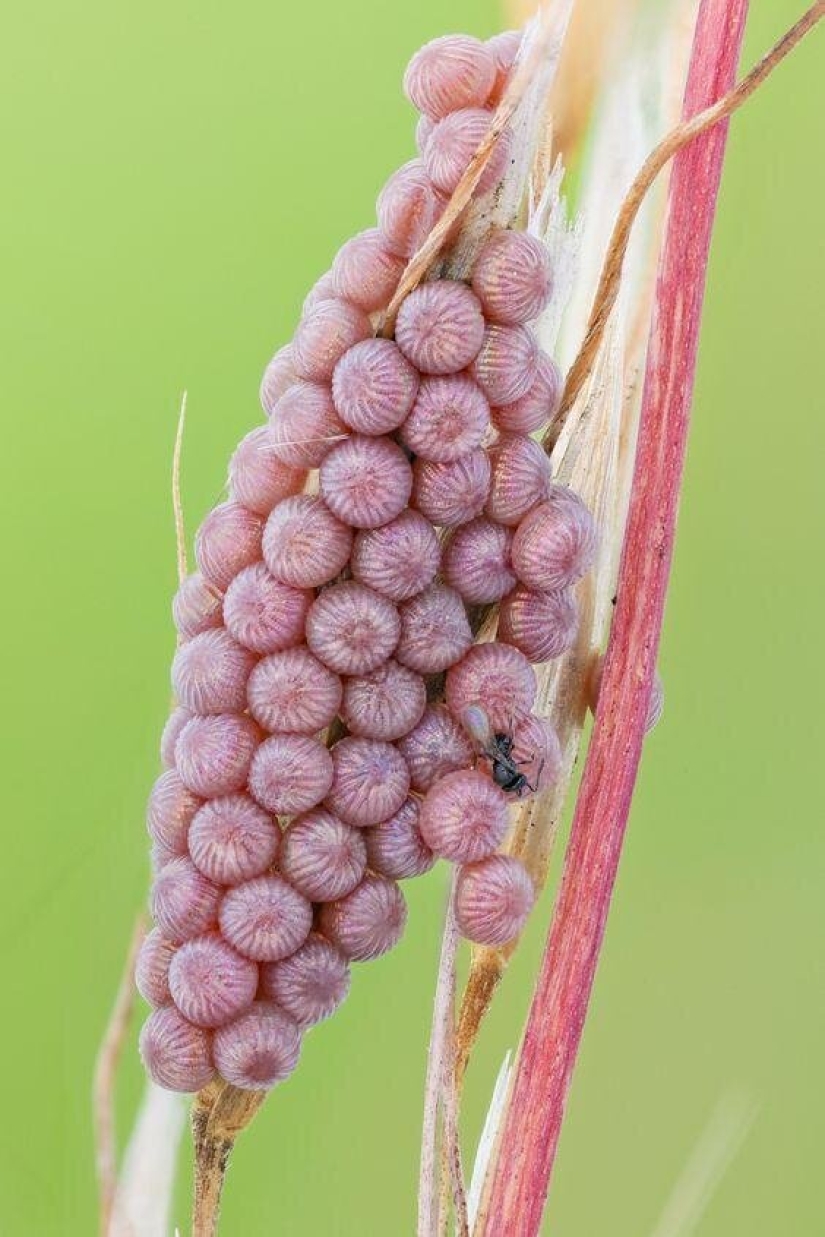 Sólo el más inteligente y ágil va a entender lo que está representado en estas fotos Sólo el más inteligente y ágil va a entender lo que está representado en estas fotos