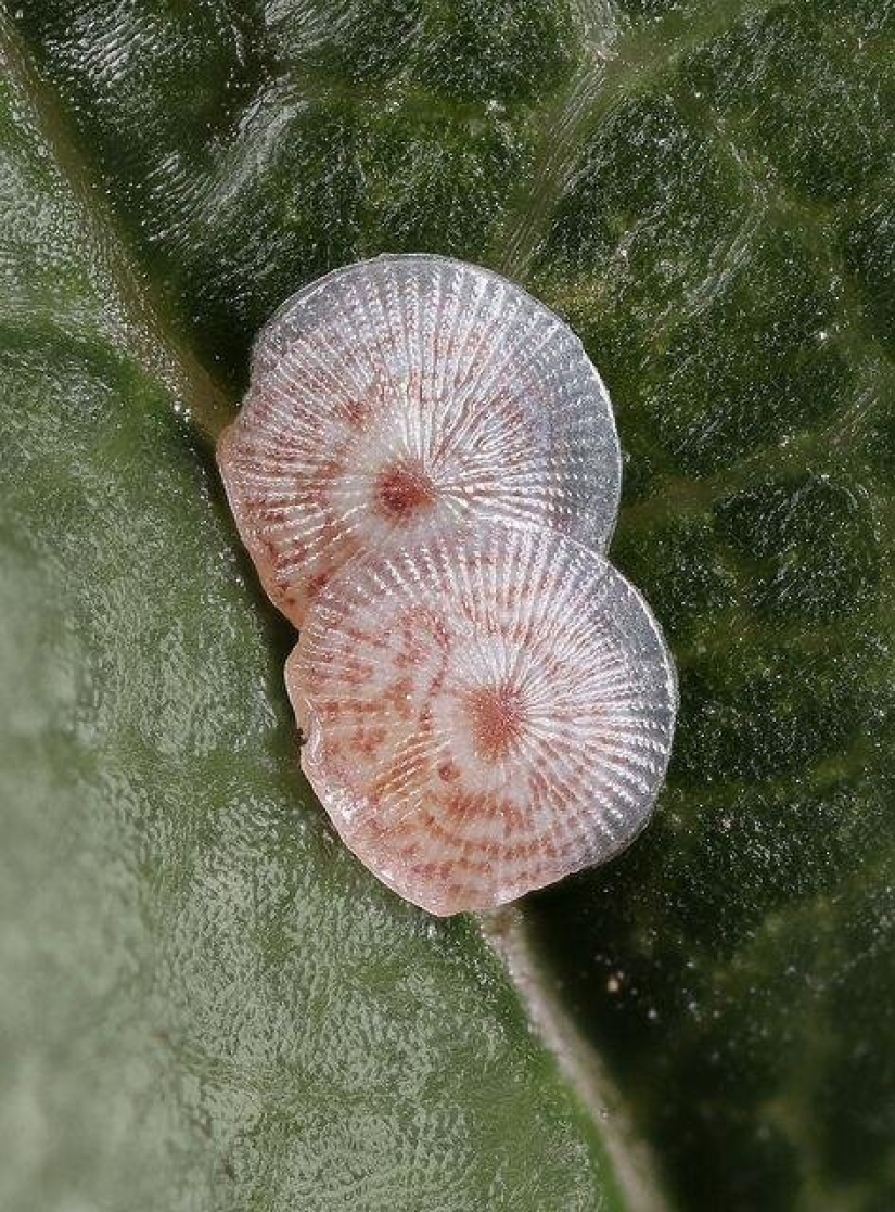 Sólo el más inteligente y ágil va a entender lo que está representado en estas fotos Sólo el más inteligente y ágil va a entender lo que está representado en estas fotos