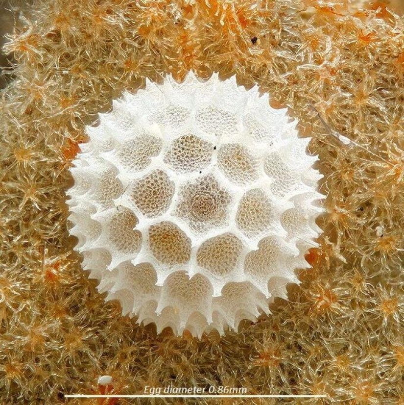 Sólo el más inteligente y ágil va a entender lo que está representado en estas fotos Sólo el más inteligente y ágil va a entender lo que está representado en estas fotos