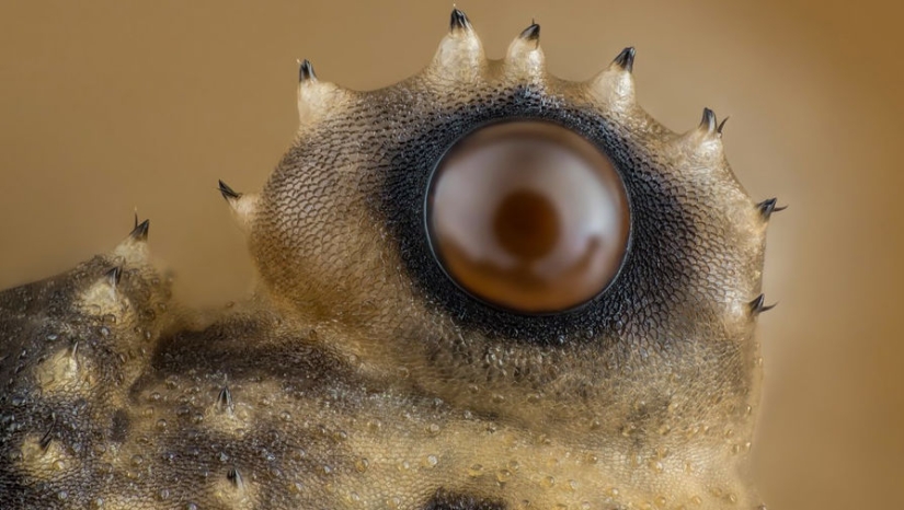 Sólo el más inteligente y ágil va a entender lo que está representado en estas fotos Sólo el más inteligente y ágil va a entender lo que está representado en estas fotos