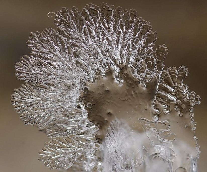 Snowflakes from photographer Andrey Osokin