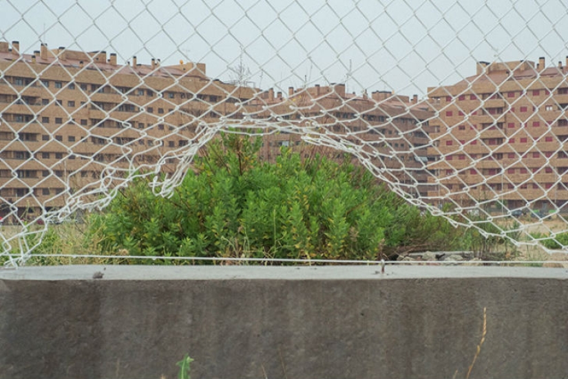 Sobrenatural coincidencias en la naturaleza por Denis Carima