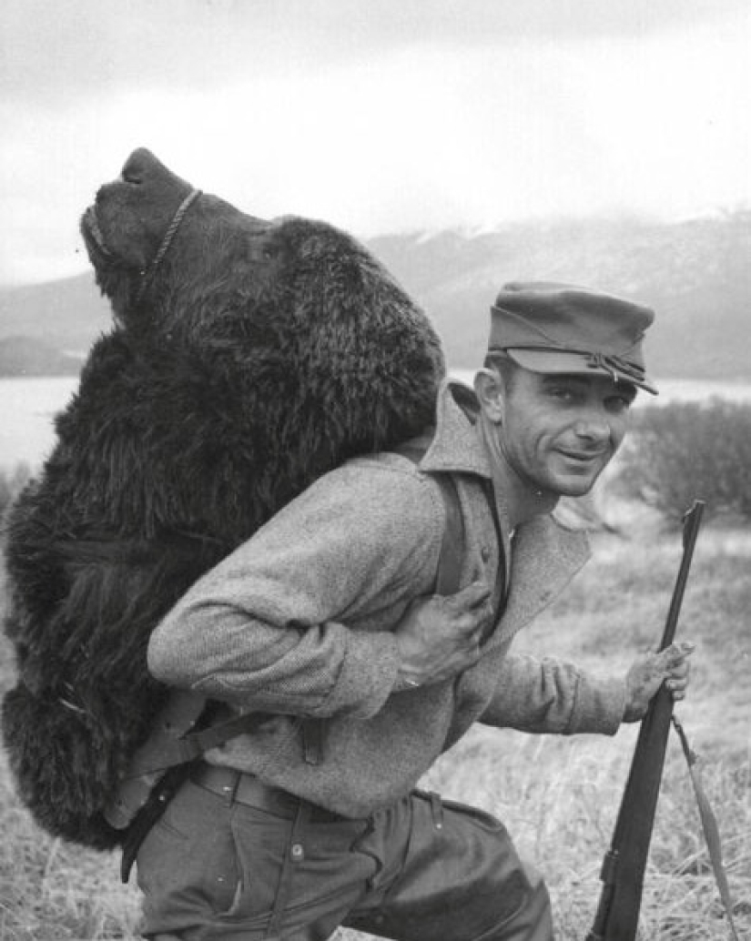Soledad en la selva: fama mundial y el triste final de Trapper Nelson-el Tarzán americano del siglo 20 Soledad en la selva: fama mundial y el triste final de Trapper Nelson-el Tarzán americano del siglo 20