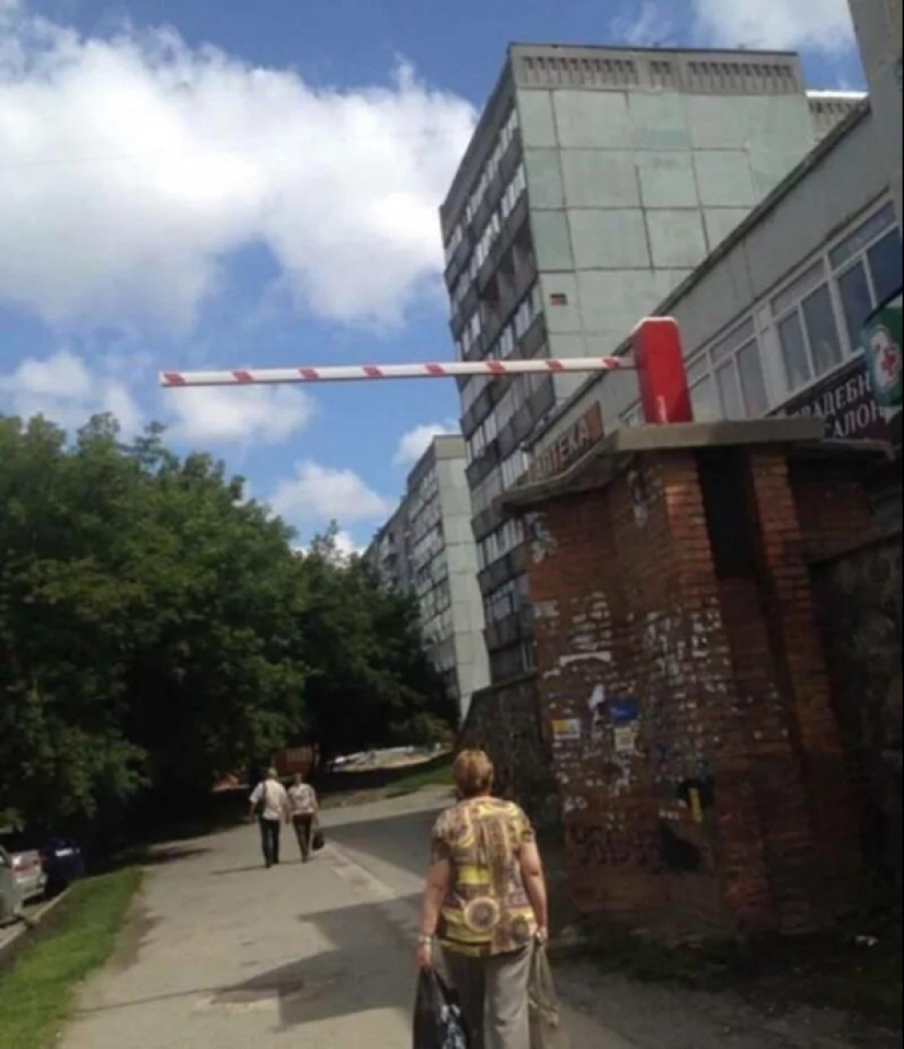 Solo tenían una tarea, pero no la hicieron frente Solo tenían una tarea, pero no la hicieron frente