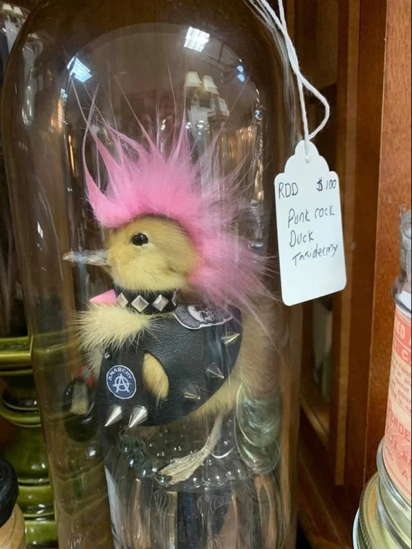 Stand or fall: 22 ejemplos de extrañas creaciones del mundo del diseño