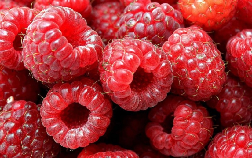 Stock up on vitamins: how to freeze berries and fruits