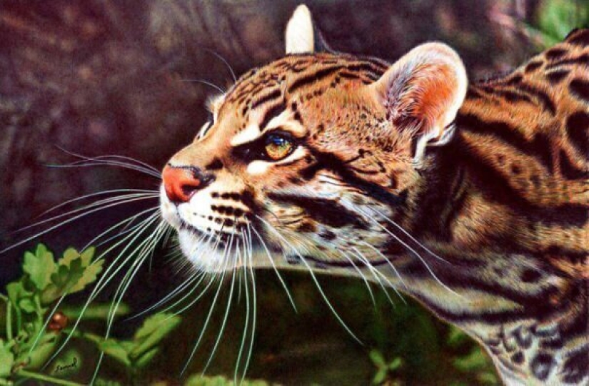 Stunning drawings in ballpoint pen from Samuel Silva Stunning drawings in ballpoint pen from Samuel Silva