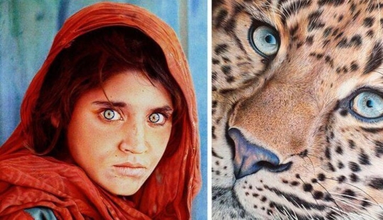 Stunning drawings in ballpoint pen from Samuel Silva