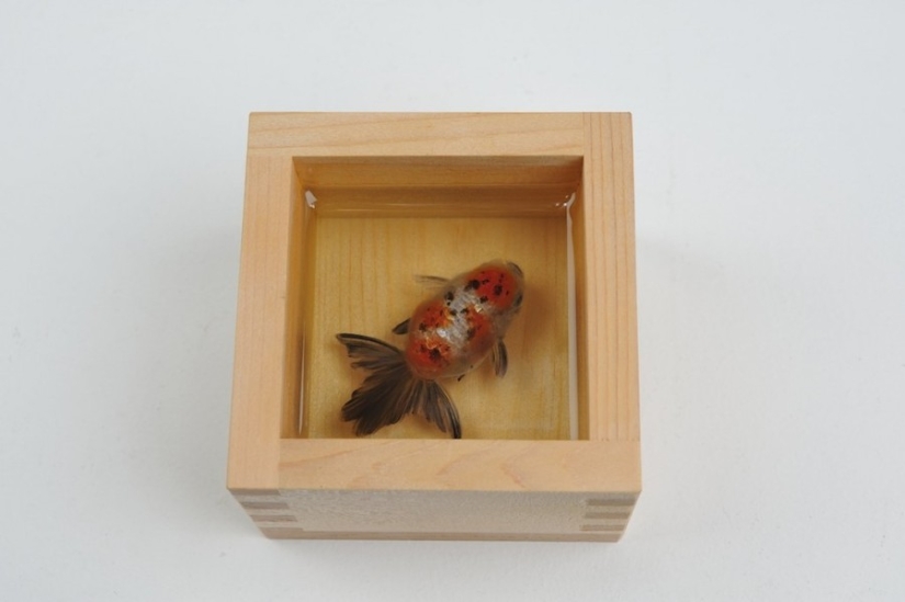 Stunning three-dimensional drawings by Japanese artist Ryusuke Fukahori Stunning three-dimensional drawings by Japanese artist Ryusuke Fukahori