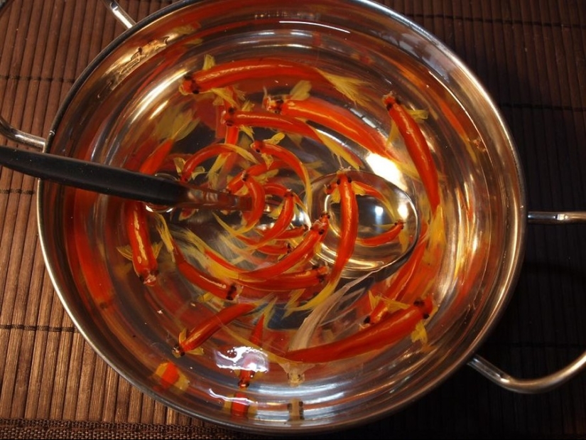 Stunning three-dimensional drawings by Japanese artist Ryusuke Fukahori Stunning three-dimensional drawings by Japanese artist Ryusuke Fukahori