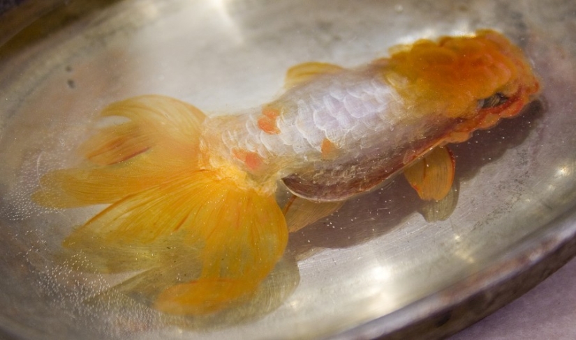 Stunning three-dimensional drawings by Japanese artist Ryusuke Fukahori Stunning three-dimensional drawings by Japanese artist Ryusuke Fukahori