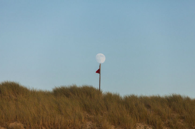 Supernatural coincidences in nature by Denis Carima