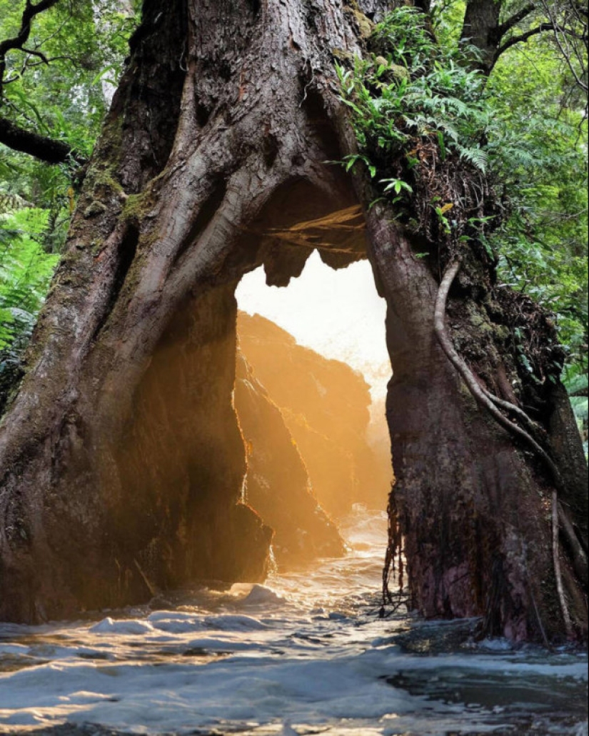 Surreal photo manipulations of Justin Peters