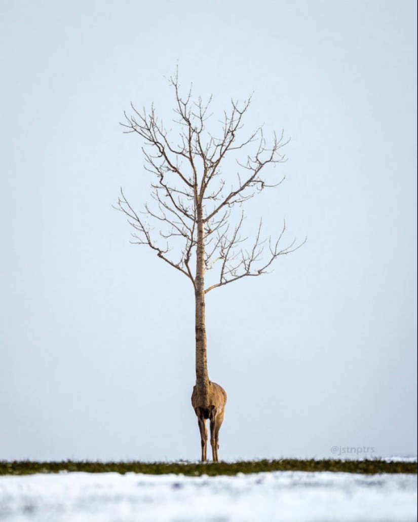 Surreal photo manipulations of Justin Peters