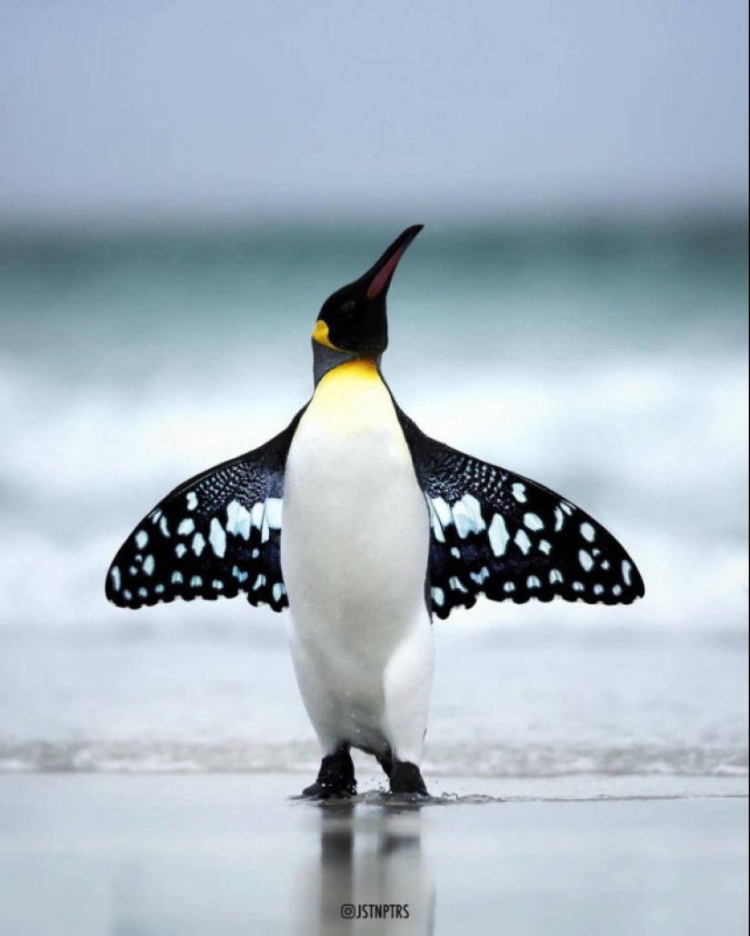 Surreal photo manipulations of Justin Peters