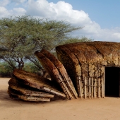 Surrealism in Photographs