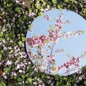 Symmetry and Silence in the Reflections Project