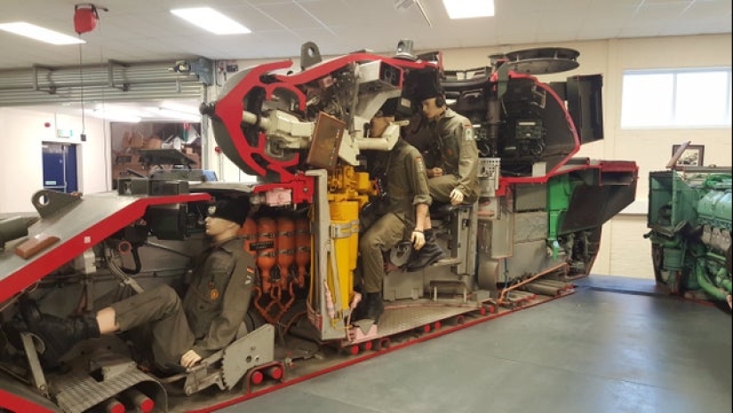 Take a look inside! 20 photos of items that are cut in half