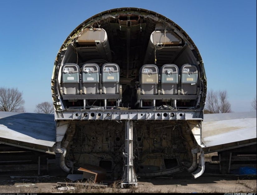 Take a look inside! 20 photos of items that are cut in half