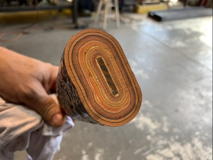 Take a look inside! 20 photos of items that are cut in half