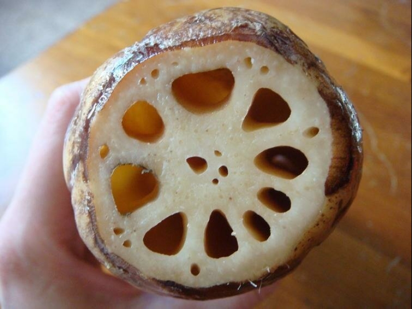 Take a look inside! 20 photos of items that are cut in half