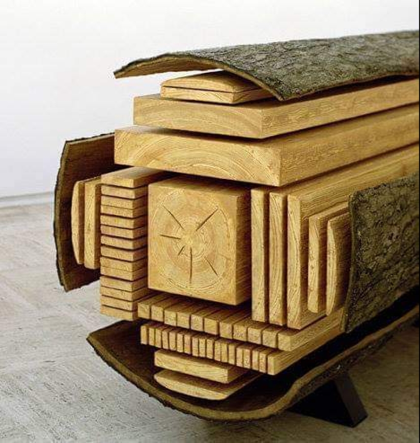 Take a look inside! 20 photos of items that are cut in half