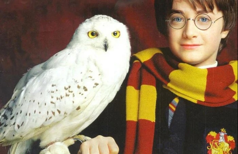 Taking out the handkerchiefs: the 30 saddest deaths of fictional characters Taking out the handkerchiefs: the 30 saddest deaths of fictional characters