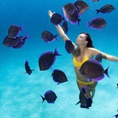 Talented photographer andré Musgrove makes an incredible underwater pictures