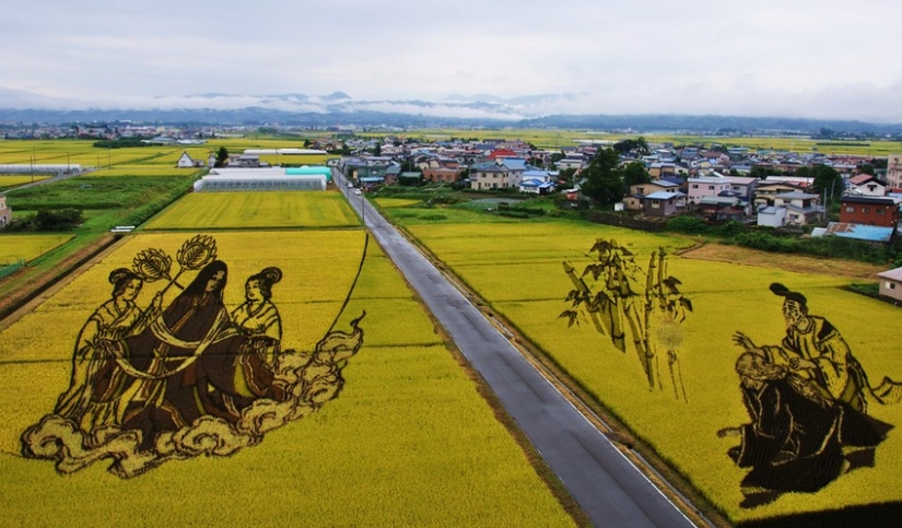 Tambo Art-incredible paintings in the rice fields of Japan Tambo Art-incredible paintings in the rice fields of Japan