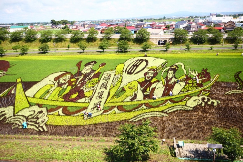 Tambo Art-pinturas increíbles en los campos de arroz de Japón