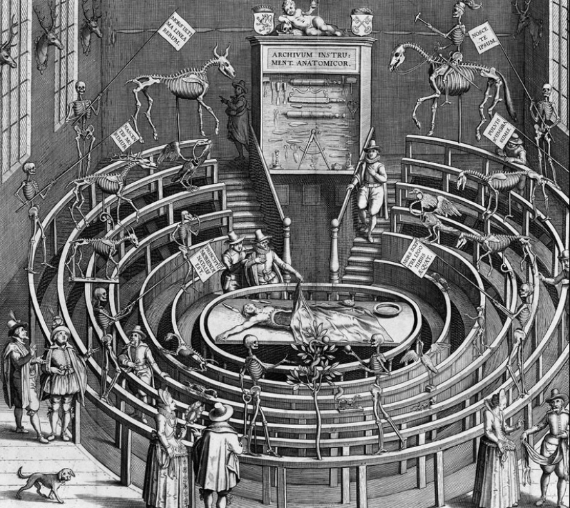 Teatros anatómicos: no es exactamente una performance, pero sí un arte