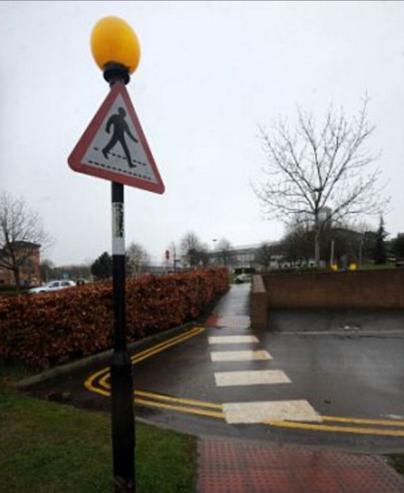 Tenían una sola tarea — y no lo hicieron frente a ella Tenían una sola tarea — y no lo hicieron frente a ella