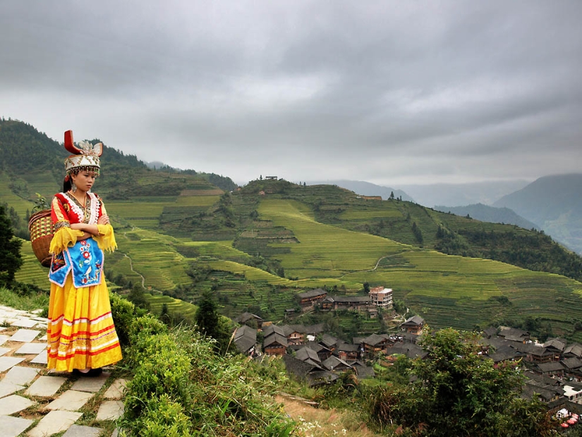 Terrazas de Arroz de Dragon Ridge» Terrazas de Arroz de Dragon Ridge»